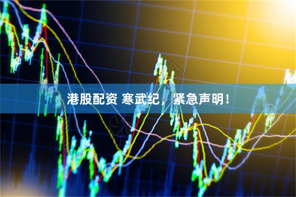 港股配资 寒武纪，紧急声明！