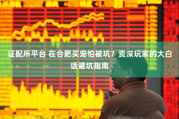 证配所平台 在合肥买宠怕被坑？资深玩家的大白话避坑指南